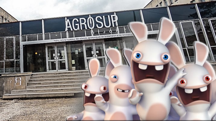 Websérie Agrosup Dijon: un lapin crétin qui parle gras