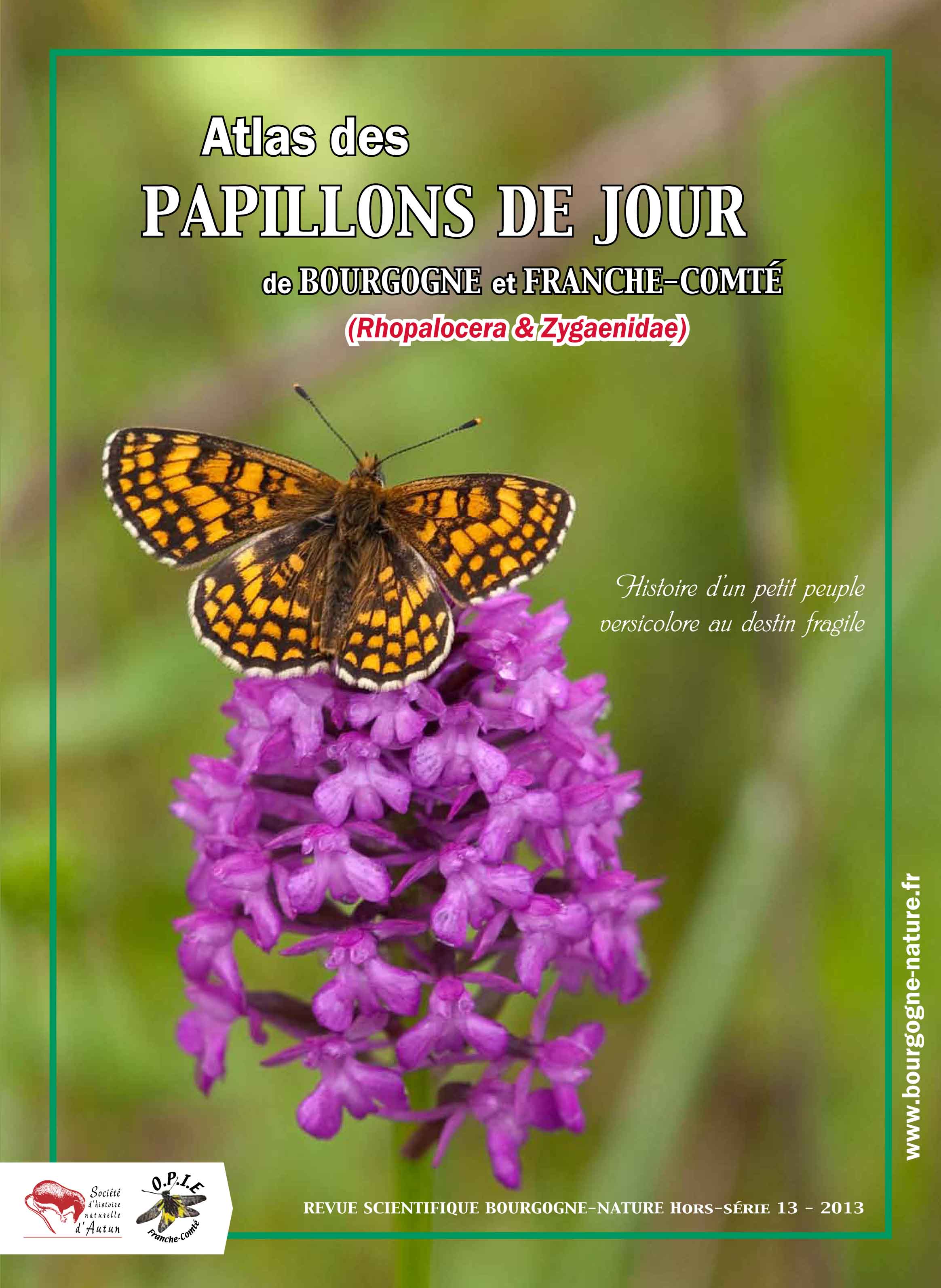 Bourgogne/Franche-Comté: les papillons anticipent la fusion