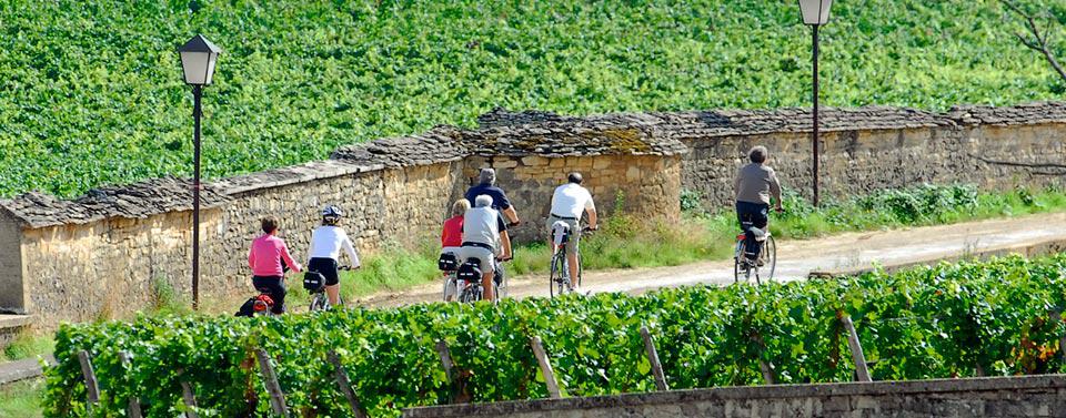 Bourgogne: mi-figue, mi-raisin le tourisme