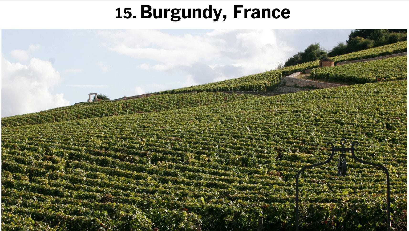 La Bourgogne au top selon le New York Times