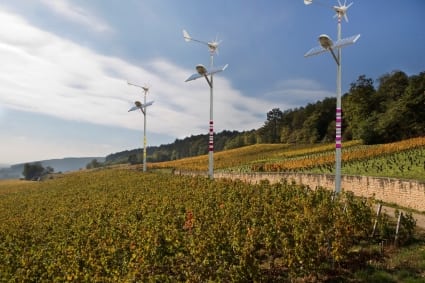 Des éoliennes biodynamiques plantées dans nos vignes !