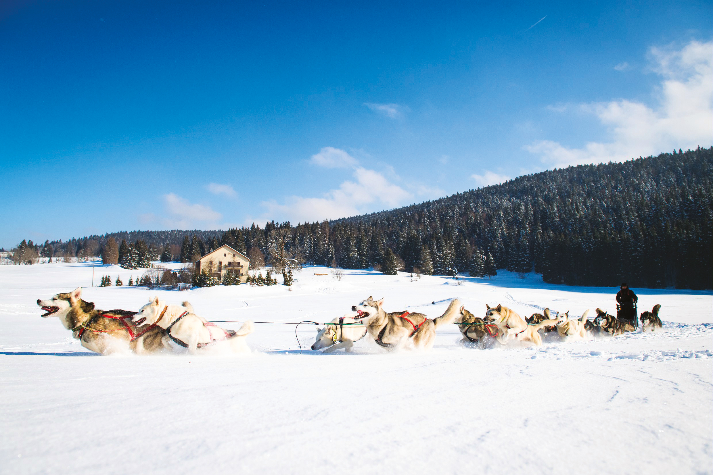 Vacances dans le Jura : nos meilleurs spots et activités pour cet hiver