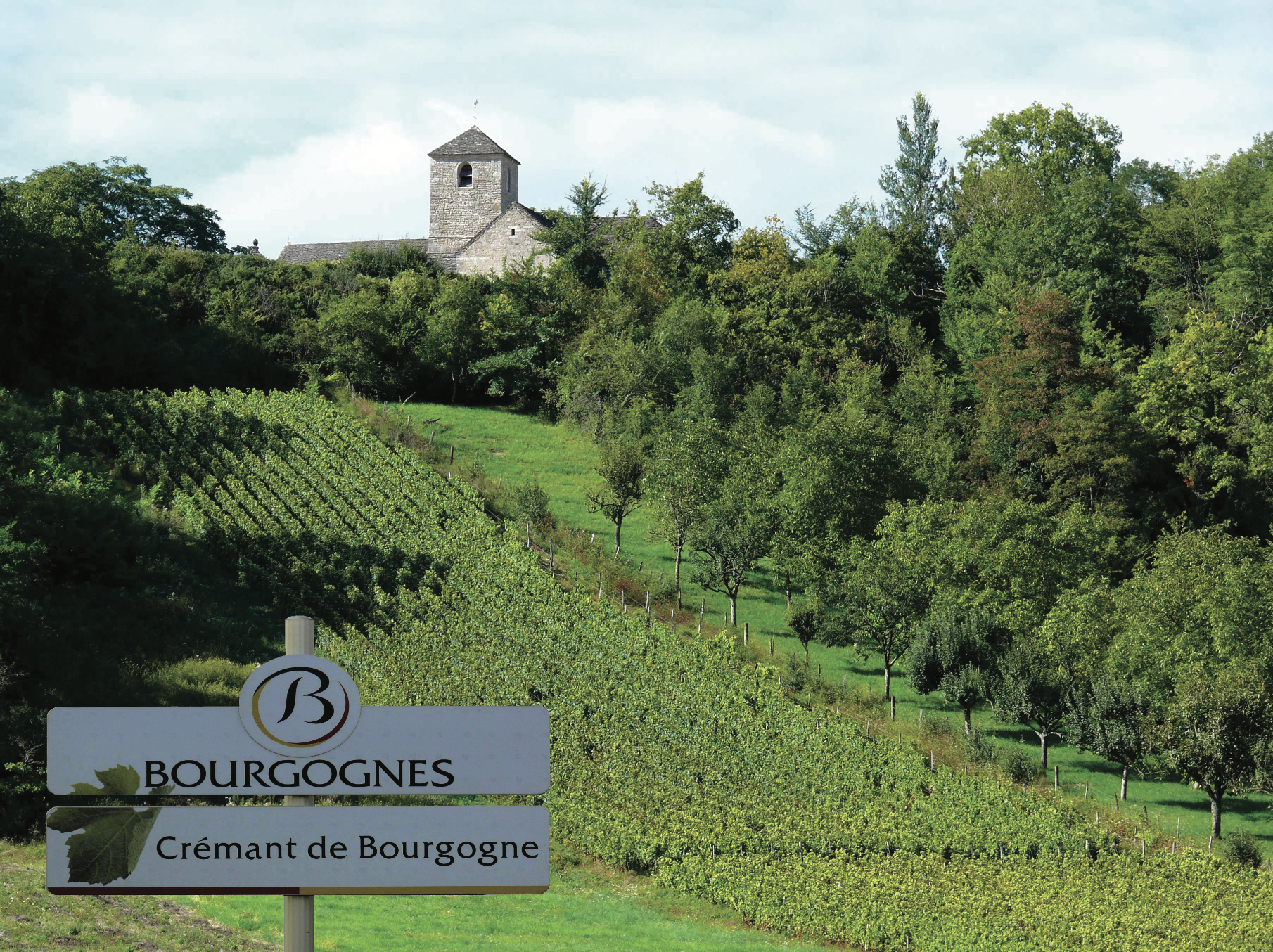 Les Crémants de Bourgogne en quête de la mention de terroir : « Dix ans que l’Inao fait la sourde oreille »